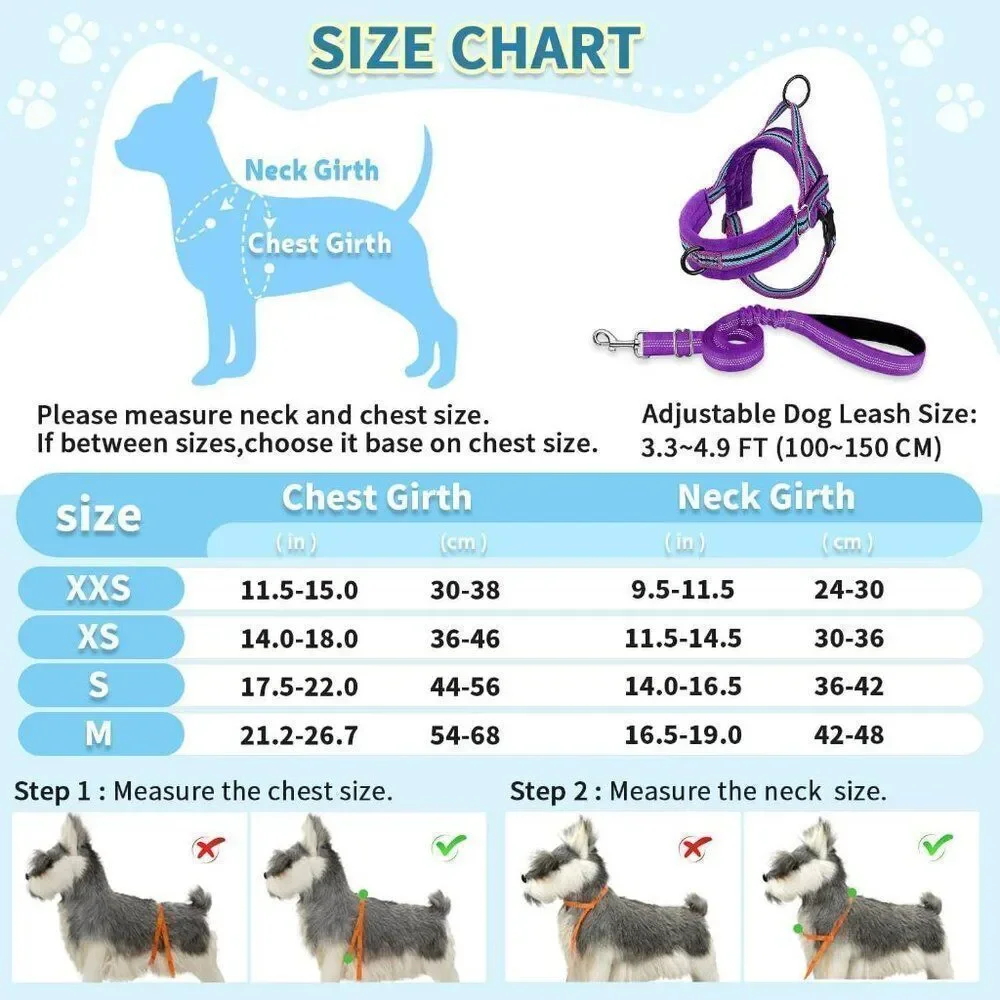 No Pull Small Dog Harness and Leash Set,  Purple Sz M